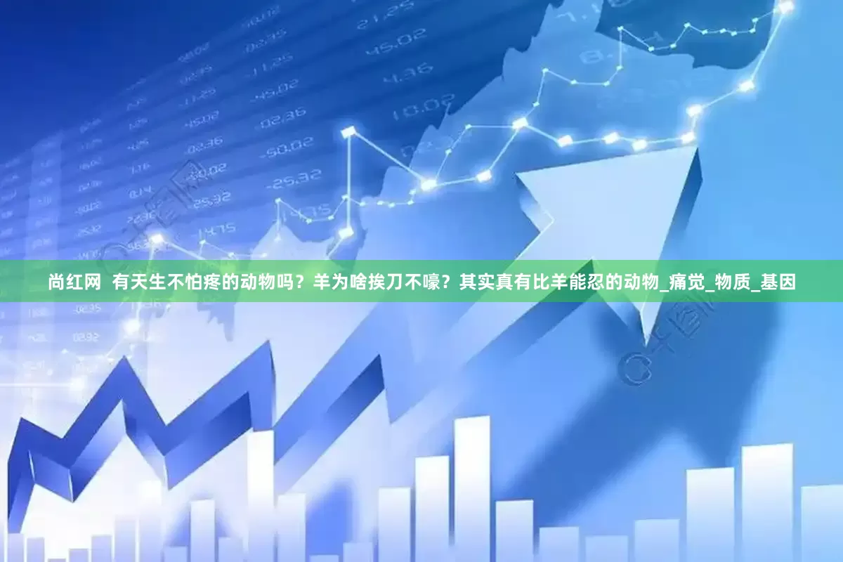 尚红网  有天生不怕疼的动物吗？羊为啥挨刀不嚎？其实真有比羊能忍的动物_痛觉_物质_基因