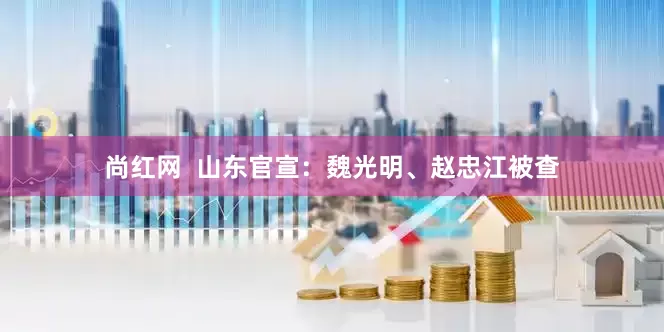尚红网  山东官宣：魏光明、赵忠江被查