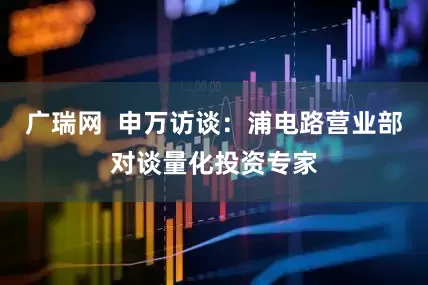 广瑞网  申万访谈：浦电路营业部对谈量化投资专家