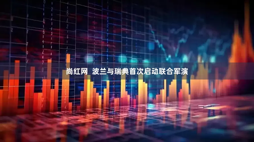 尚红网  波兰与瑞典首次启动联合军演