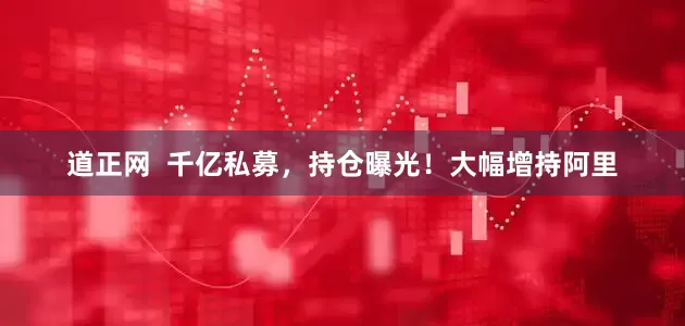 道正网 千亿私募,持仓曝光!大幅增持阿里